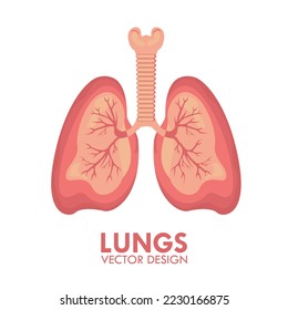 Lungs Human Respiratory Organ Medical Healthcare Isolated Vector Illustration