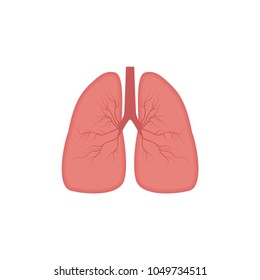 Lungs icon, flat style. Internal organs of the human design element, logo. Anatomy, medicine concept. Healthcare. Isolated on white background.