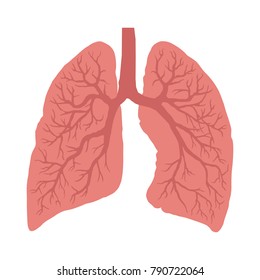 Lungs icon, flat style. Internal organs of the human design element, logo. Anatomy, medicine concept. Healthcare. Isolated on white background. Vector illustration