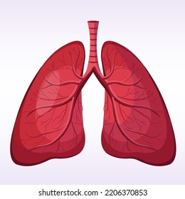 lungs icon human internal organ anatomy biology healthcare medical concept respiratory breathing system