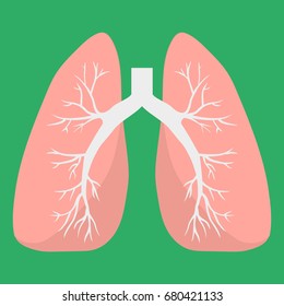 Lungs icon. Human internal organ. Medical vector icon. Anatomy concept. Health care. Flat style