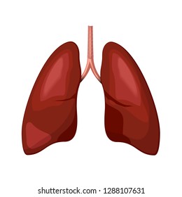 Lungs icon illustration