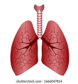 Lungs icon. Internal organs of the human design element, logo. Anatomy, Healthy lung organ on white background.