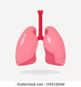 Lungs icon isolated on white background. Human internal organ. Anatomy, medicine concept. Vector cartoon design 