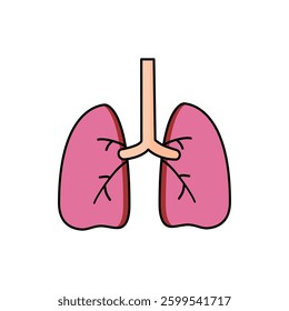 Lungs icon on white background.