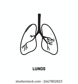 Un icono de pulmones sobre un fondo blanco, Una ilustración dibujada a mano del icono de pulmones sobre un fondo blanco