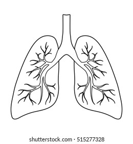 Lungs icon in outline style isolated on white background. Organs symbol stock vector illustration.