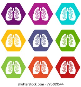 Lungs icon set many color hexahedron isolated on white vector illustration