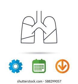 Lungs icon. Transplantation organ sign. Pulmology symbol. Calendar, cogwheel and download arrow signs. Colored flat web icons. Vector