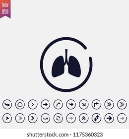 lungs icon vector illustration. arrow icons set