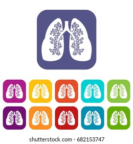 Lungs icons set vector illustration in flat style in colors red, blue, green, and other