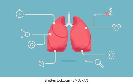 lungs infographic vector illustration