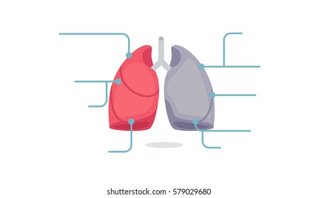 lungs infographic vector illustration