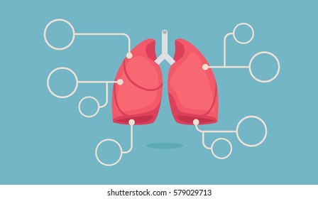 lungs infographic vector illustration