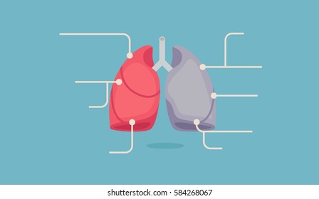 lungs infographic vector illustration