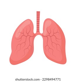 	
Lungs. Internal human organs. Human anatomy, respiratory system. The concept of medicine and healthcare. Vector	
