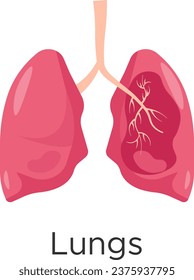 Lungen. Interne menschliche Organe. Anatomie des Menschen. Das Konzept der Medizin und des Gesundheitswesens. Vektorgrafik