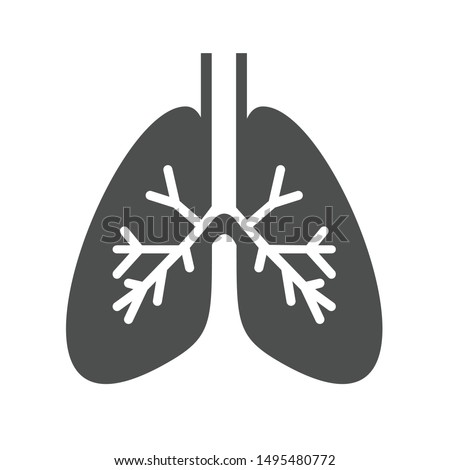 lungs internal organ vector icon isolated on white background. lungs flat icon for web, mobile and user interface design. medical healthcare concept