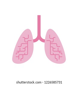 Lungs isolated. Internal organs Human anatomy. vector illustration