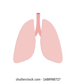 Lungs isolated on white background. Vector illustration.