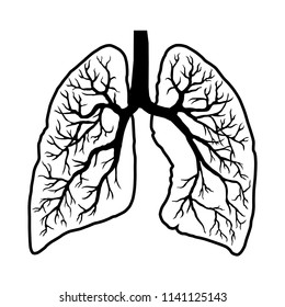 lungs line icon