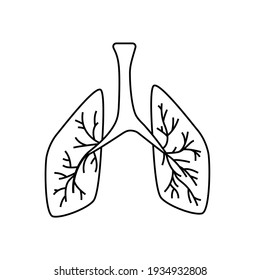 Lungs line sign. Human organ sketch. Outline medical logo.  Vector illustration on white background