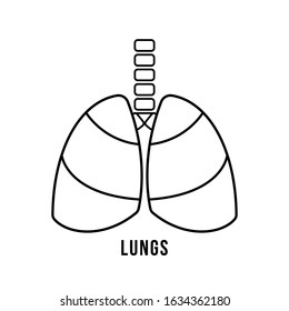 Lungs linear flat icon. Outline vector isolated on white background.