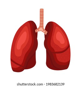 lungs organs human anatomy icon