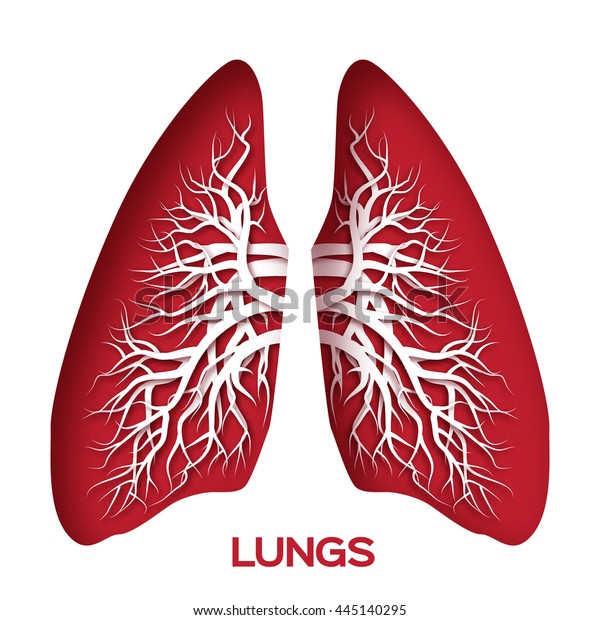 Lungs Origami Red Paper Cut Human Stock Vector (Royalty Free) 445140295