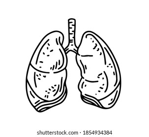 Esbozo de los pulmones. Humano. Icono plano, símbolo. Órgano sano. Un estilo sencillo e independiente. Ilustración vectorial Doodle de material.