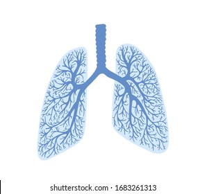 lungs - part of the human body, respiratory organ, anatomical vector illustration