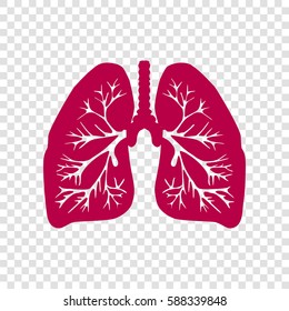 Lungs of the person. Vector. Bordo icon on transparent background.