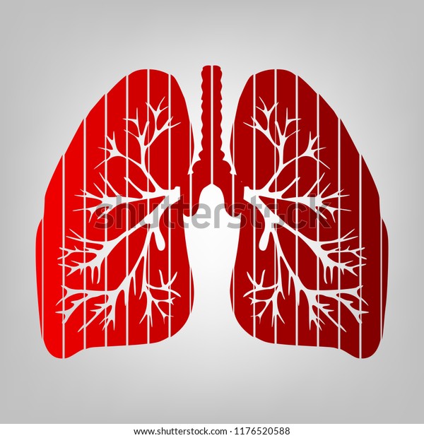 Lungs of the person. Vector. Vertically divided\
icon with colors from reddish gradient in gray background with\
light in center.