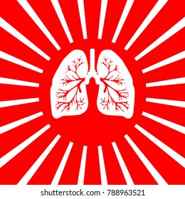 Lungs of the person. Vector. White icon on red sun with rays as background. Isolated.