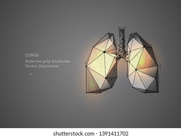 Lungs. Polygonal wireframe composition. Banner concept, the treatment of of lung diseases. Abstract illustration isolated on gray background.  Particles are connected in a geometric silhouette. 