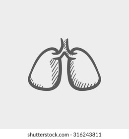 Lungs sketch icon for web, mobile and infographics. Hand drawn vector dark grey icon isolated on light grey background.