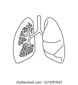 Lungs, Sketch, Vector Illustration, White Background 