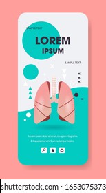 estructura pulmonar anatomía interna de órganos humanos biología asistencia médica concepto respiratorio sistema respiratorio pantalla de smartphone aplicación vertical espacio plano ilustración vectorial plana