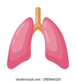 Lungs, trachea, bronchi anatomy cartoon icon. Respiratory system paired organ. Pneumonia, bronchitis, pulmonology, fluorography. Vector illustration isolated on white background.