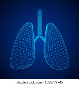 Lungs with trachea bronchi internal organ human. Pulmonology medicine science technology concept. Wireframe low poly mesh vector illustration