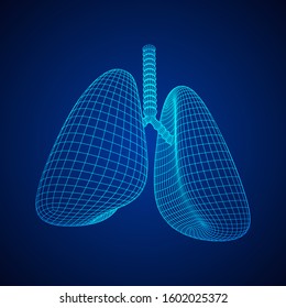 Lungs with trachea bronchi internal organ human. Pulmonology medicine science technology concept. Wireframe low poly mesh vector illustration