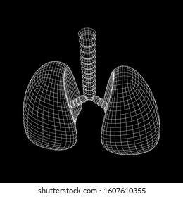 Lungs with trachea bronchi internal organ human. Pulmonology medicine science technology concept. Wireframe low poly mesh vector illustration