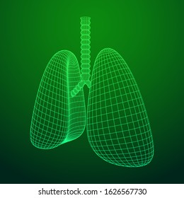 Lungs with trachea bronchi internal organ human. Pulmonology medicine science technology concept. Wireframe low poly mesh vector illustration