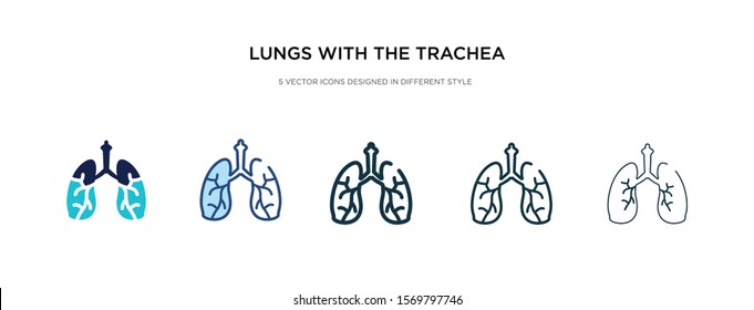 lungs with the trachea icon in different style vector illustration. two colored and black lungs with the trachea vector icons designed in filled, outline, line and stroke style can be used for web,