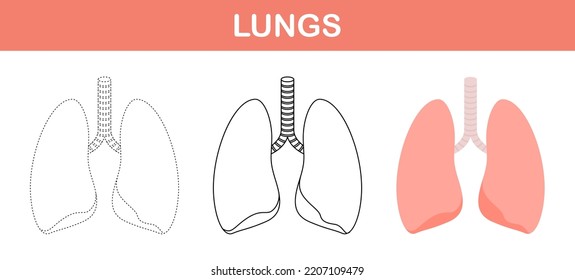 Lungs tracing and coloring worksheet for kids