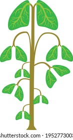 Lungs tree illustration vector isolated on white background