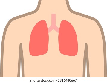 Lungs and upper body isolated vector illustration.