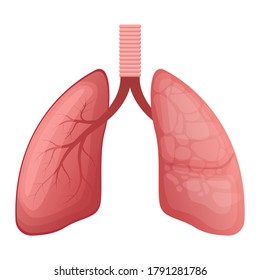 Lungs vector design illustration isolated on white background