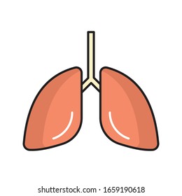 lungs vector flat color icon 