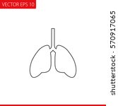 Lungs Vector Icon.